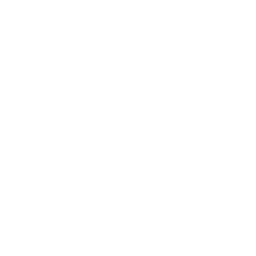 Client 65